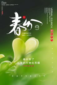 24节气 春分海报