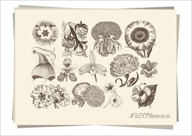 13款入花朵手绘稿