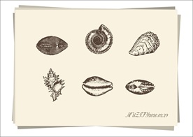 6款入海产品手绘稿