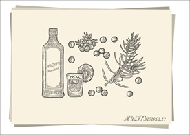 杜松子酒手绘稿