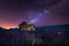 薰衣草田园图片