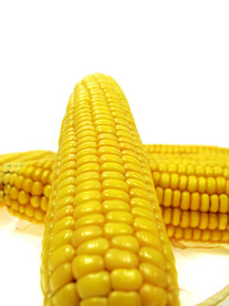 玉米
