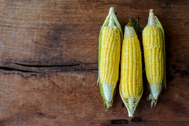 玉米