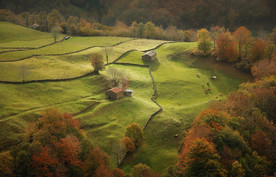 草原骏马高清图片