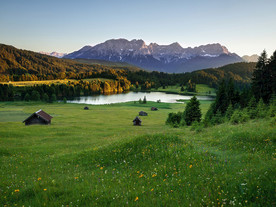 草原骏马高清图片