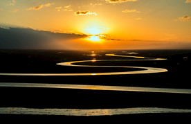 草原骏马高清图片