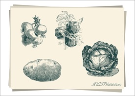 4款入 蔬菜手绘稿