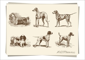 6款入 宠物狗手绘稿