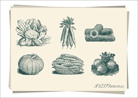 6款入 蔬菜手绘稿