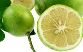 青柠檬
