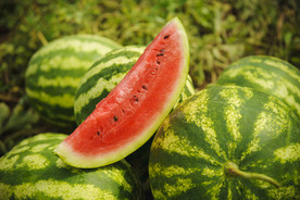 西瓜