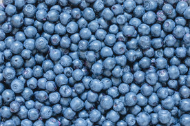 蓝莓