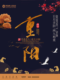 经典古典重阳节展板