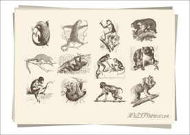 12款入灵长类动物手绘稿