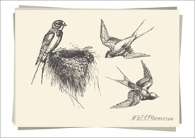 燕子筑巢手绘稿