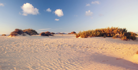 沙漠戈壁荒野图片