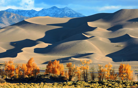 沙漠戈壁荒野图片