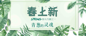 春季上新banner