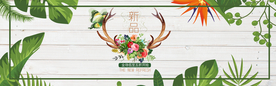 春季上新banner