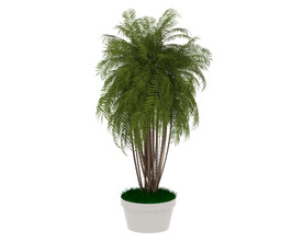 植物盆栽3d模型