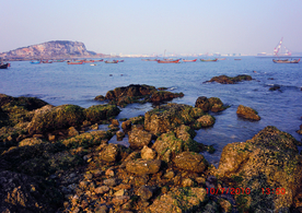 大连城市海岸礁石