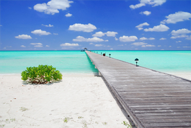 马尔代夫沙滩海岸小岛