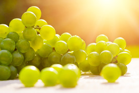 葡萄