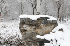 雪中石头