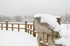 雪中栏杆