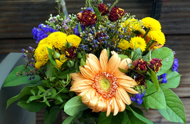 花卉花艺插花图片