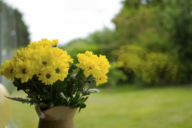 花卉花艺插花图片