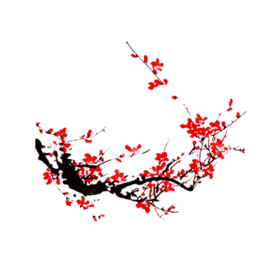 梅花素材