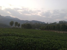 风景23