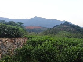 风景21