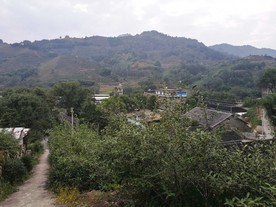 风景12