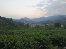 风景11