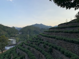 风景51