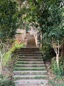 小路