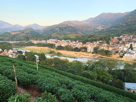 风景43