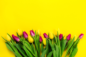 玫瑰花 背景主题