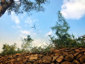 风景