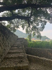 风景2