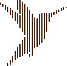 鸟 服装 条纹 具象 剪影