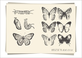 8款入蝴蝶手绘稿