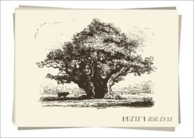巨树 手绘稿