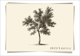 树 手绘稿
