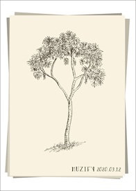 细针树手绘稿