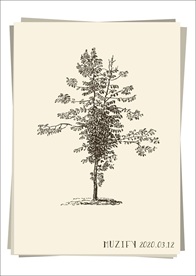 树 手绘稿