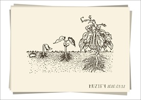 植物生长手绘稿