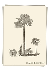 棕榈树手绘稿